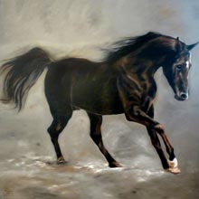 Cheval Persan - 200x200 - Huile sur toile - 2009